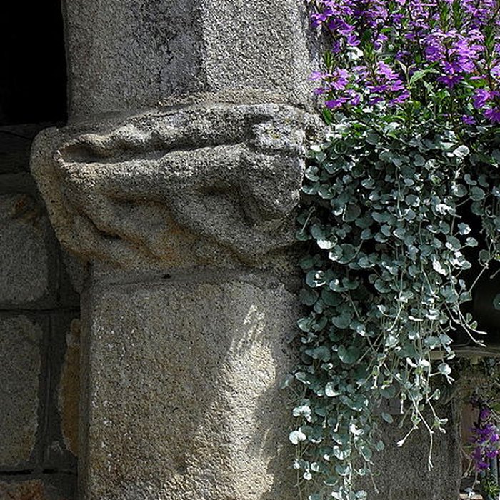 Photo de Église priorale Saint-Martin de Tremblay
