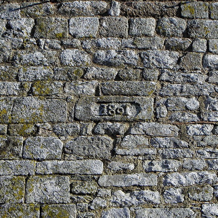 Photo de Église priorale Saint-Martin de Tremblay