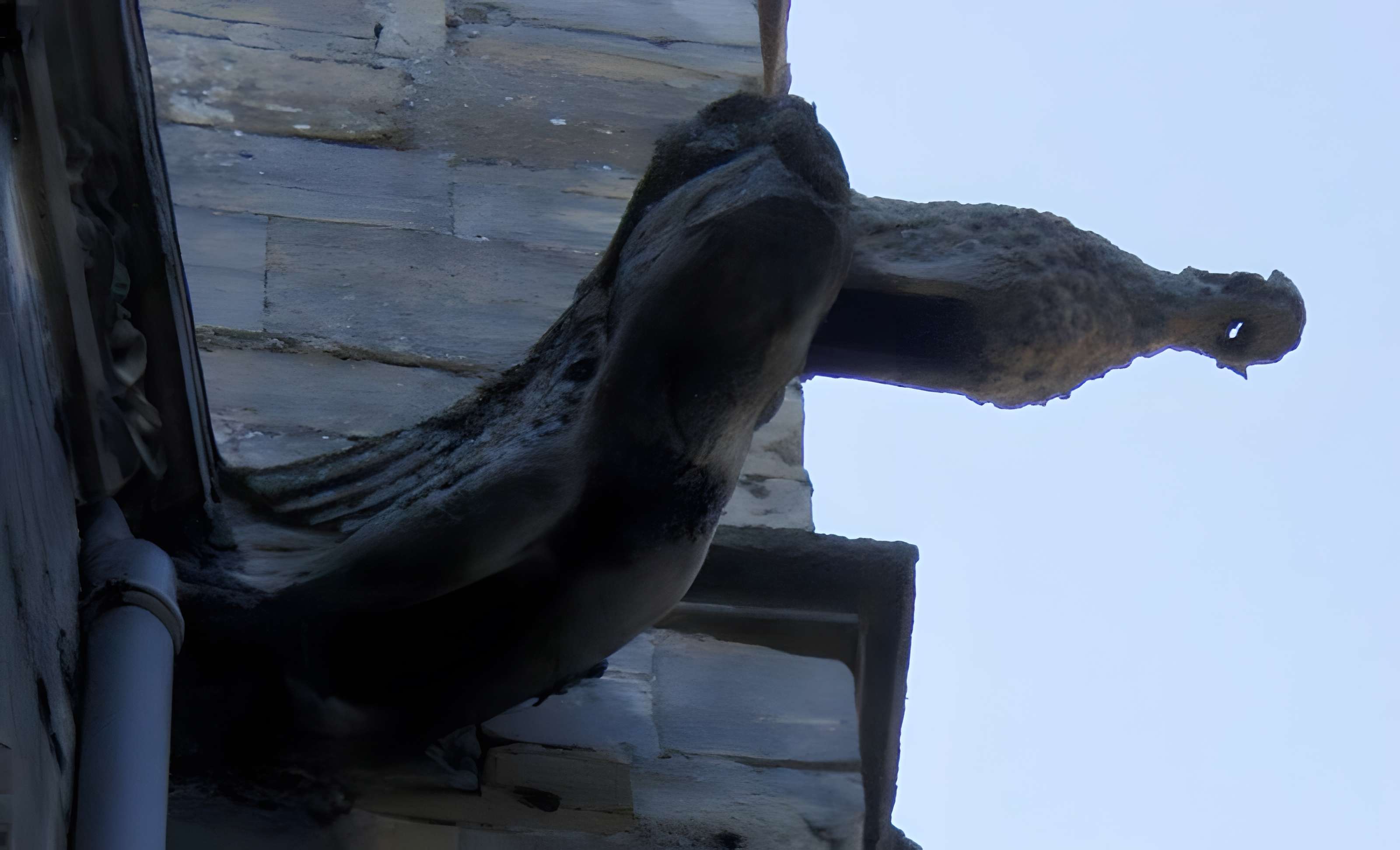 Église Saint-Alpin de Châlons-en-Champagne