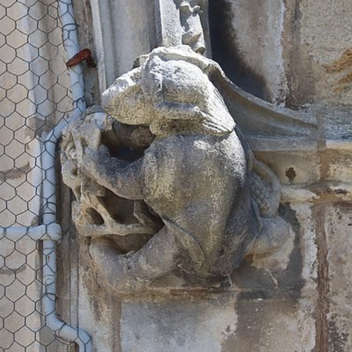 Photo de Église Saint-Anatoile de Salins-les-Bains