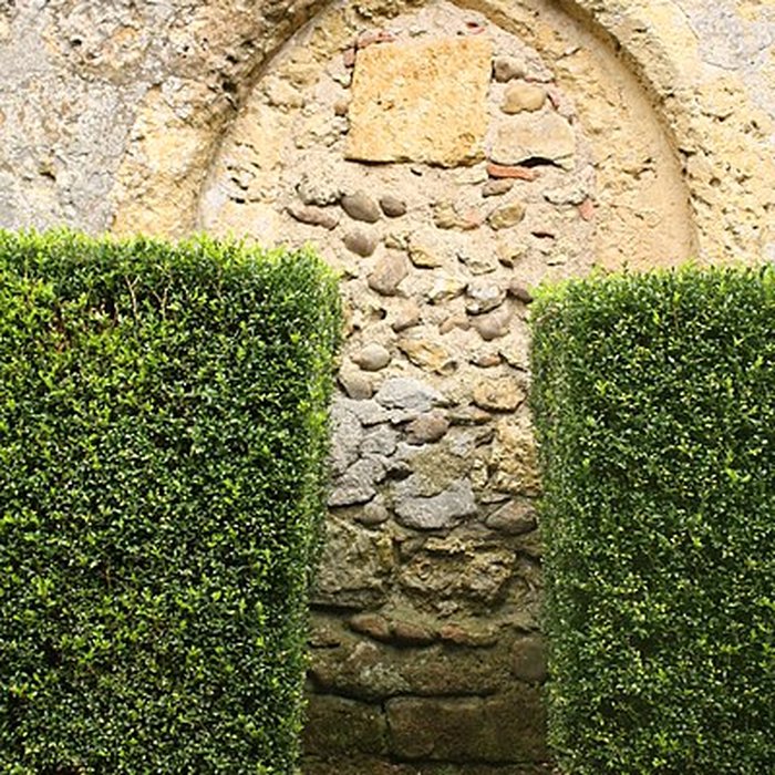 Photo de Église Saint-Cyr-et-Sainte-Julitte de Castelnau-Rivière-Basse