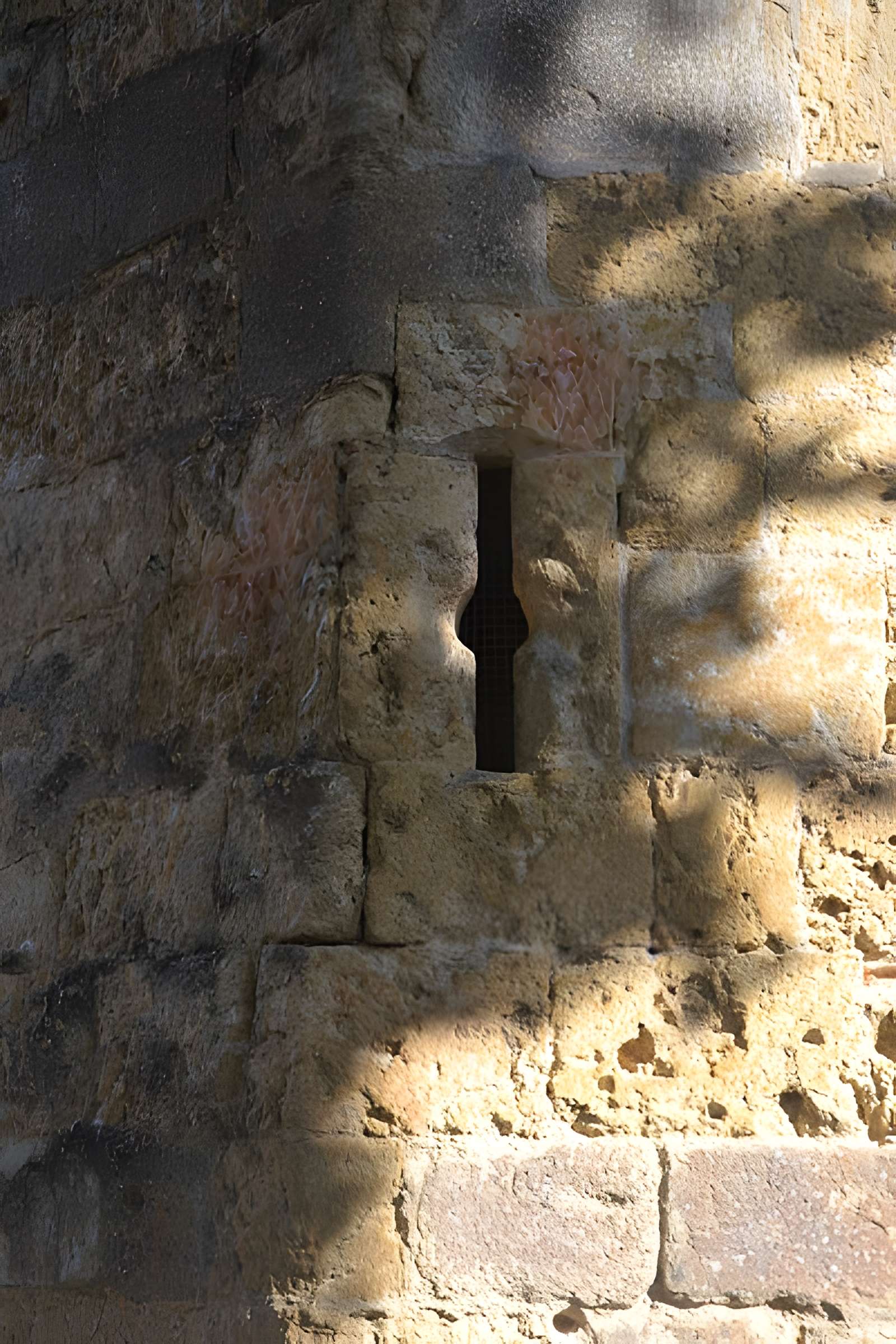 Église Saint-Cyr-et-Sainte-Julitte de Castelnau-Rivière-Basse