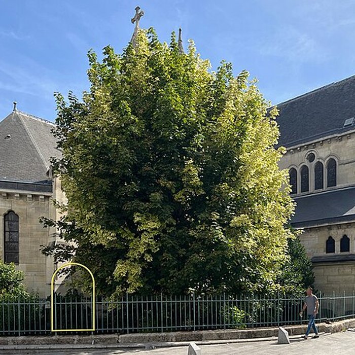 Photo de Église Saint-Denis-de-lEstrée de Saint-Denis
