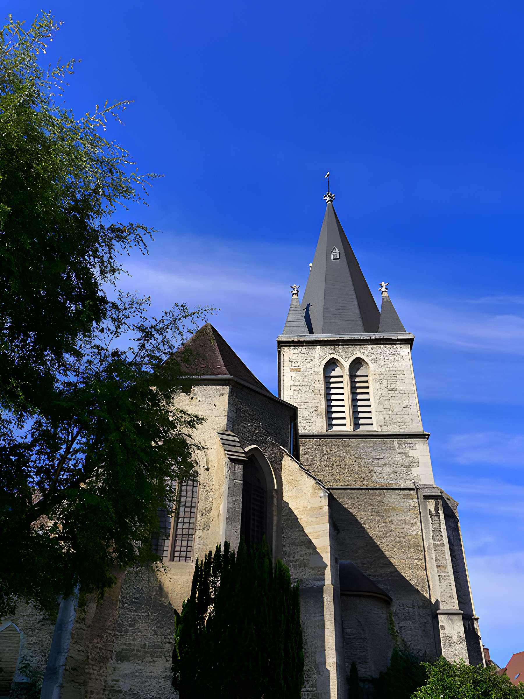 Église Saint-Désiré de Lons-le-Saunier