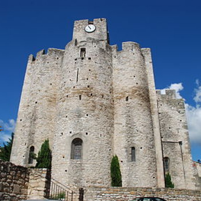 Photo de Église Saint-Laurent de Saint-Laurent-des-Arbres