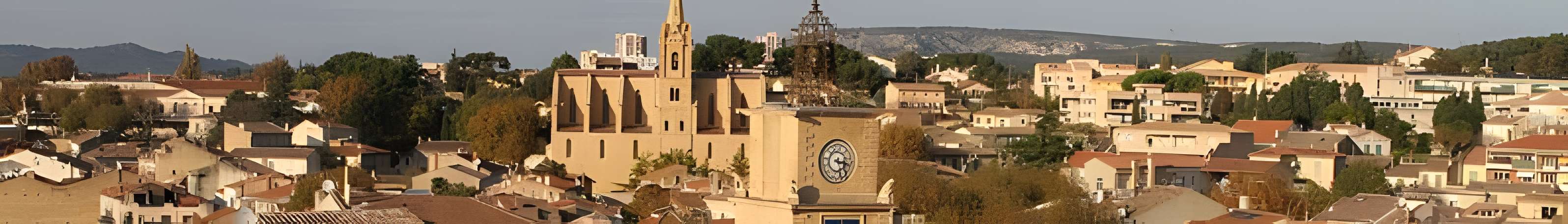 Église Saint-Laurent de Salon-de-Provence