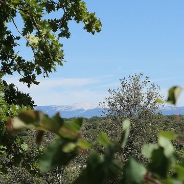 Église Sainte-Marie de Buoux