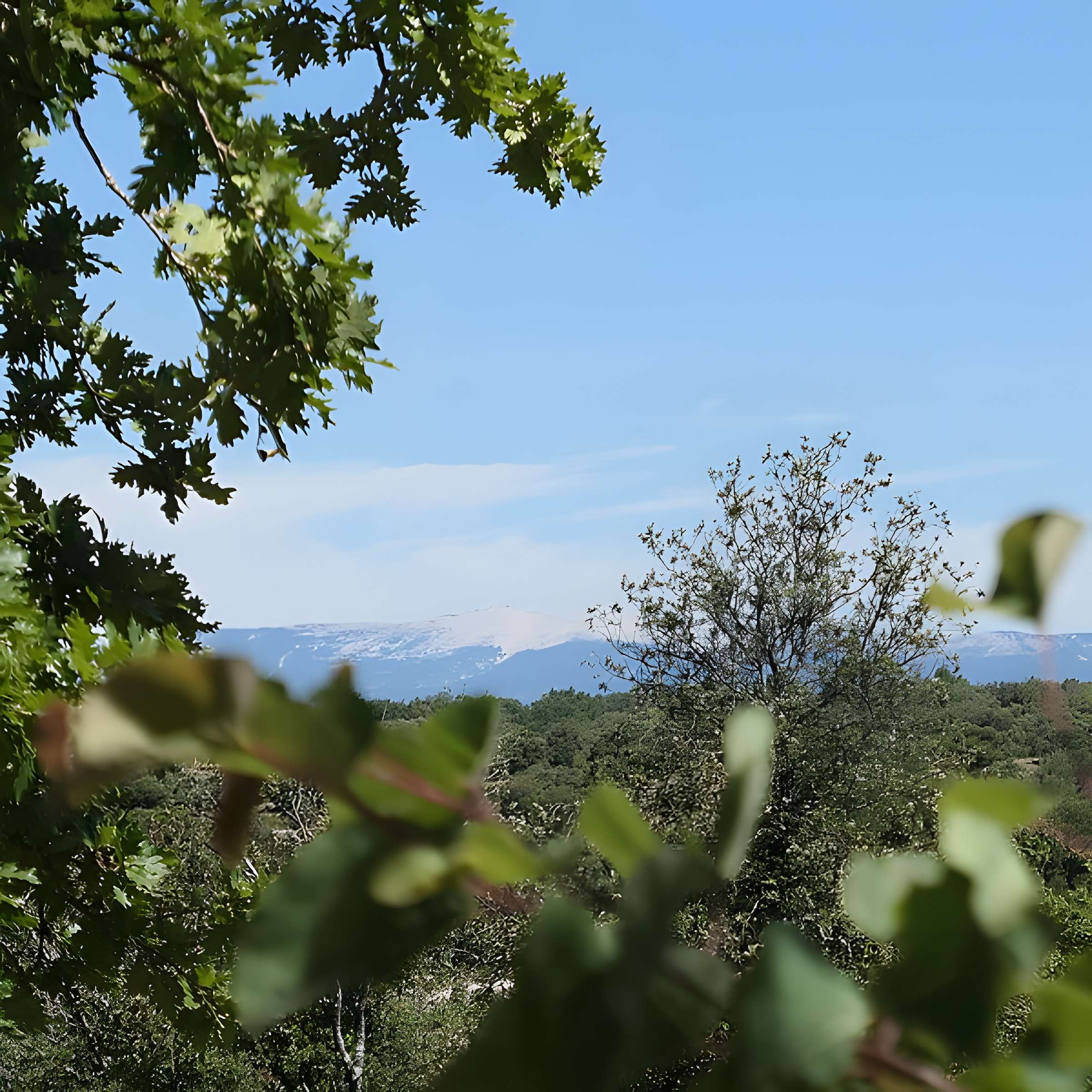 Église Sainte-Marie de Buoux