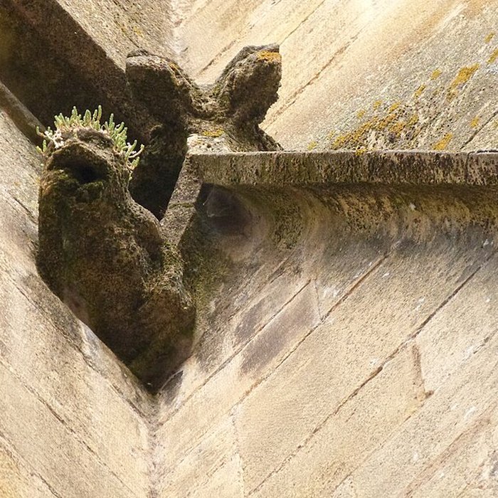 Photo de Église Sainte-Marie de Sarlat-la-Canéda