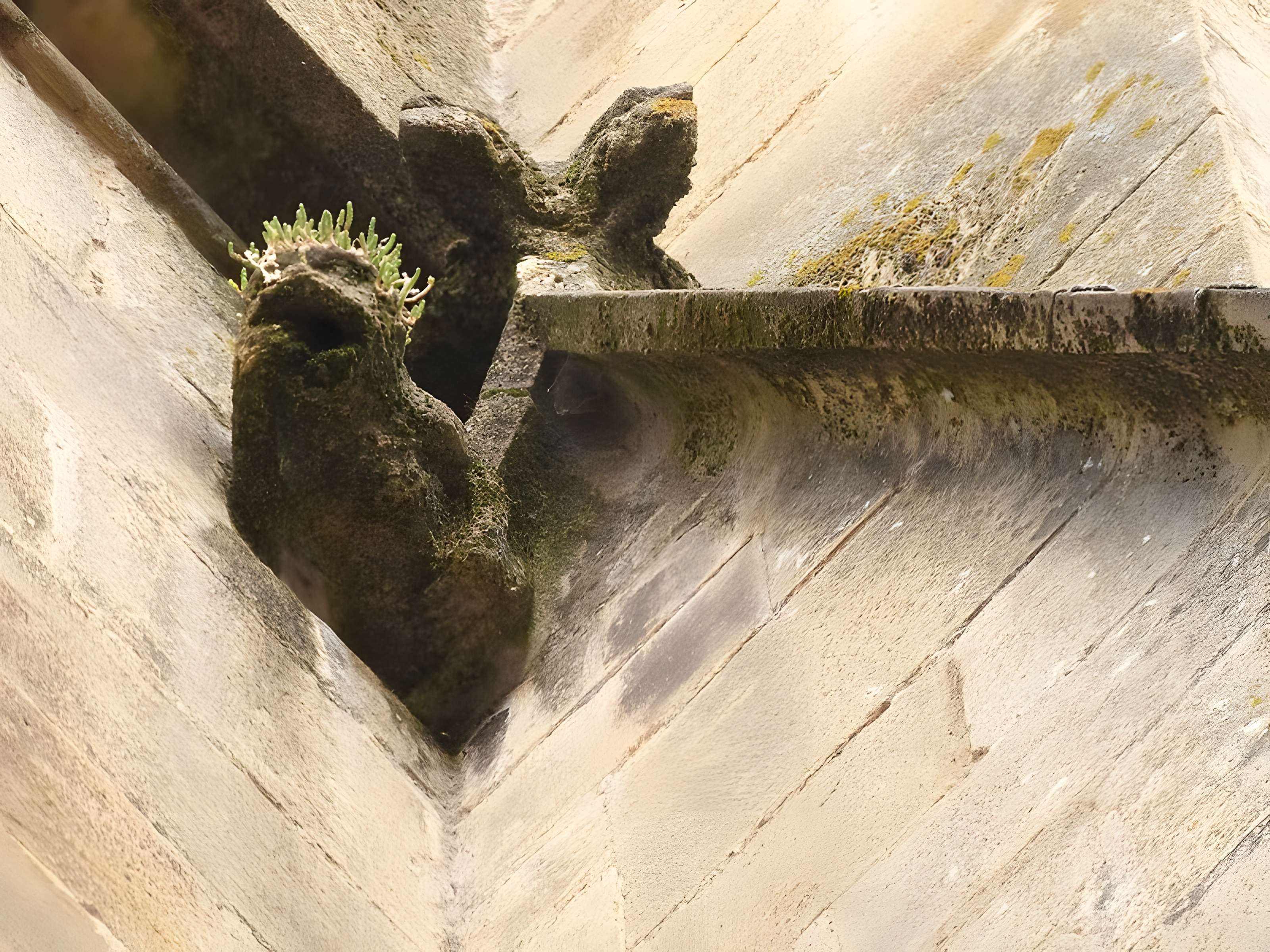 Église Sainte-Marie de Sarlat-la-Canéda