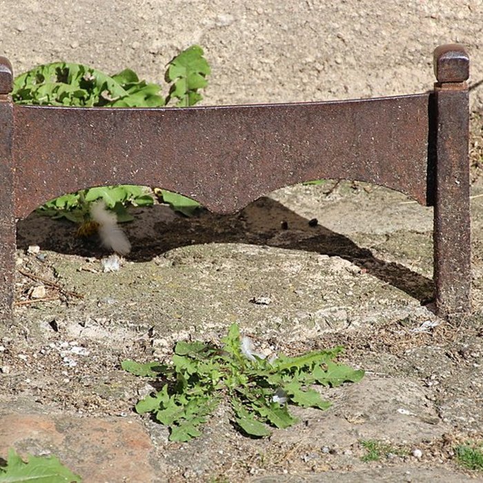 Photo de Église Sainte-Marie-Madeleine de Marcoussis