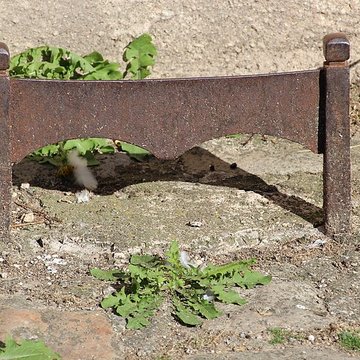 Église Sainte-Marie-Madeleine de Marcoussis