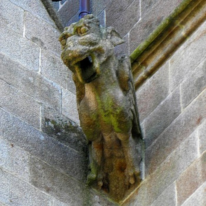 Photo de Église Saint-Léonard de Fougères