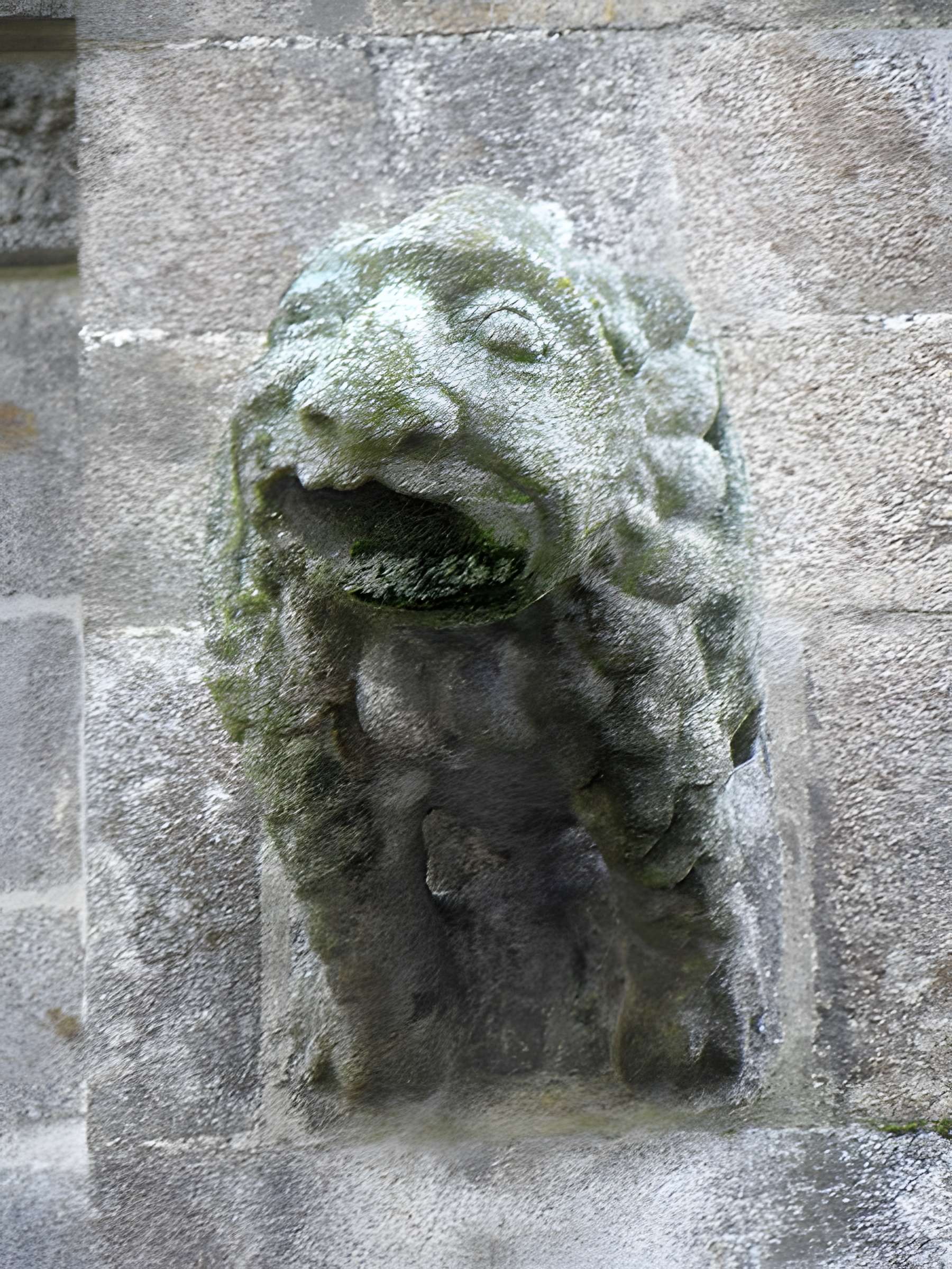 Église Saint-Léonard de Fougères