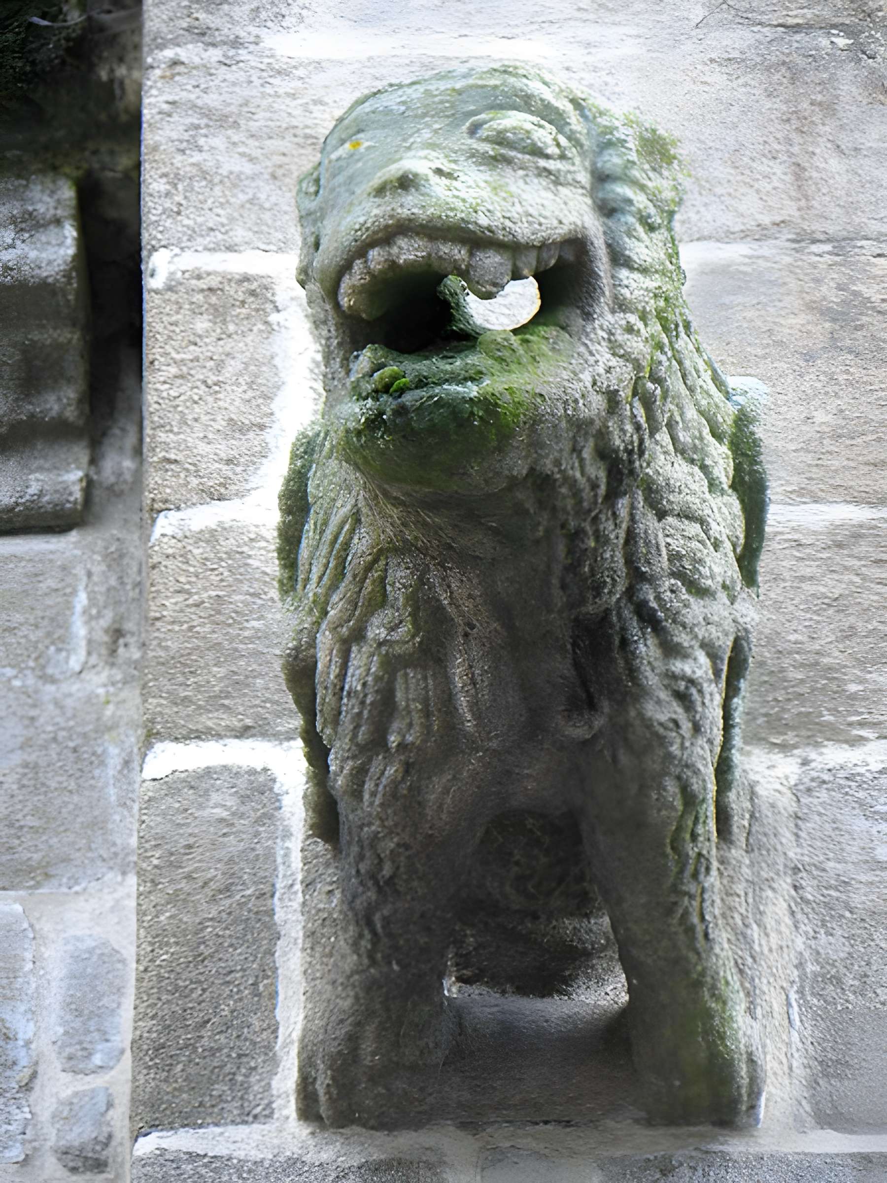 Église Saint-Léonard de Fougères