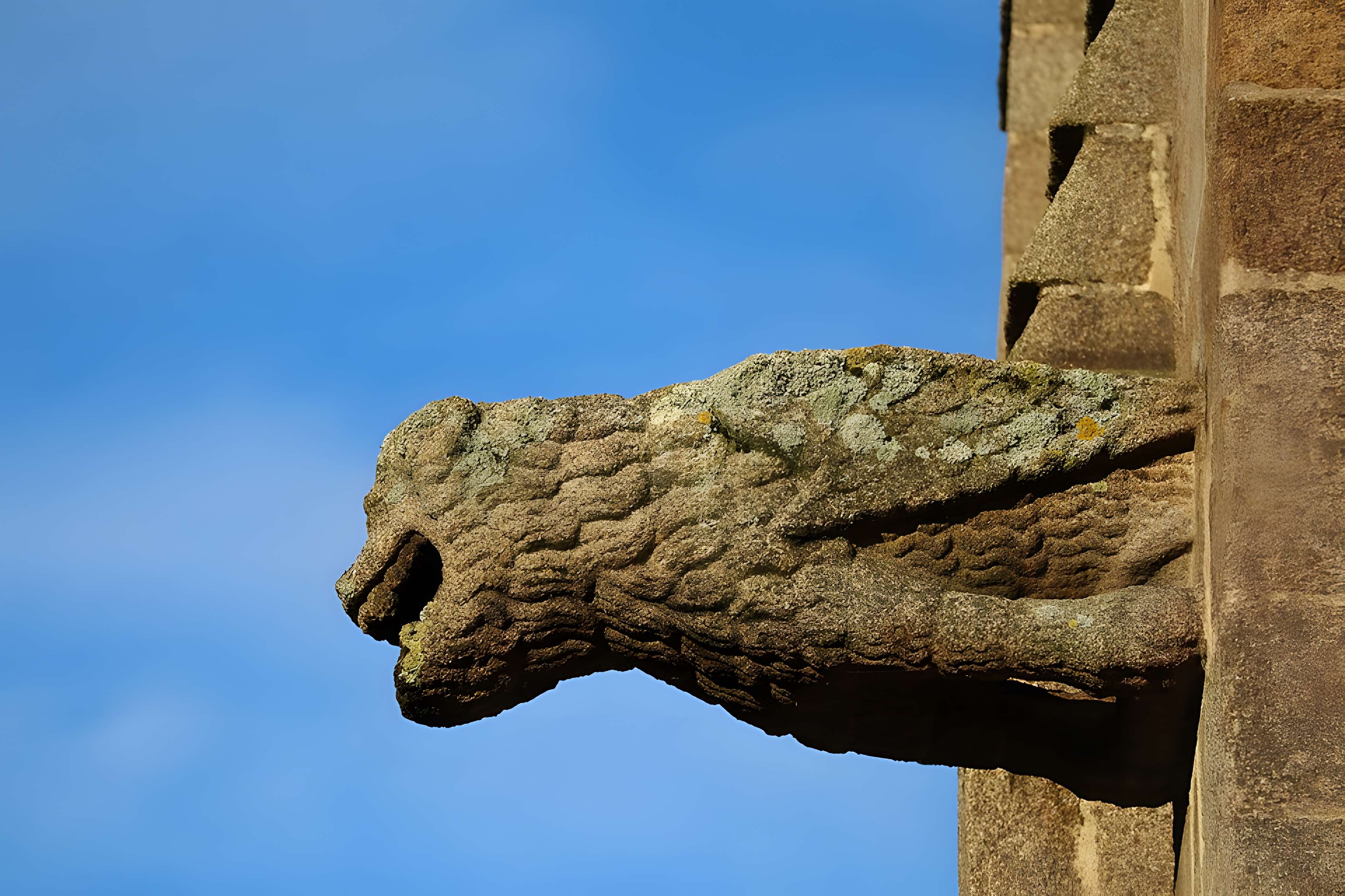 Église Saint-Léonard de Fougères
