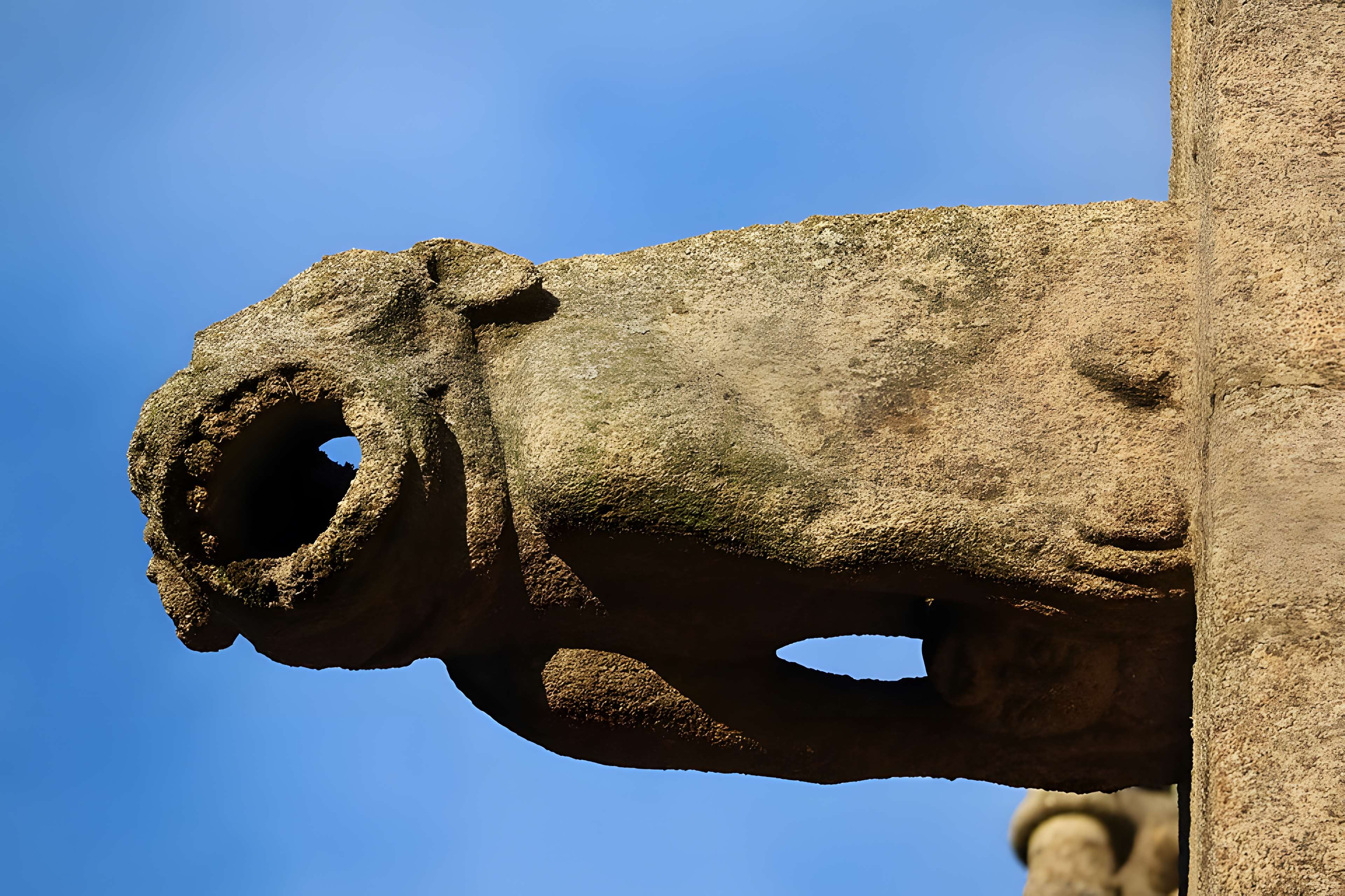 Église Saint-Léonard de Fougères