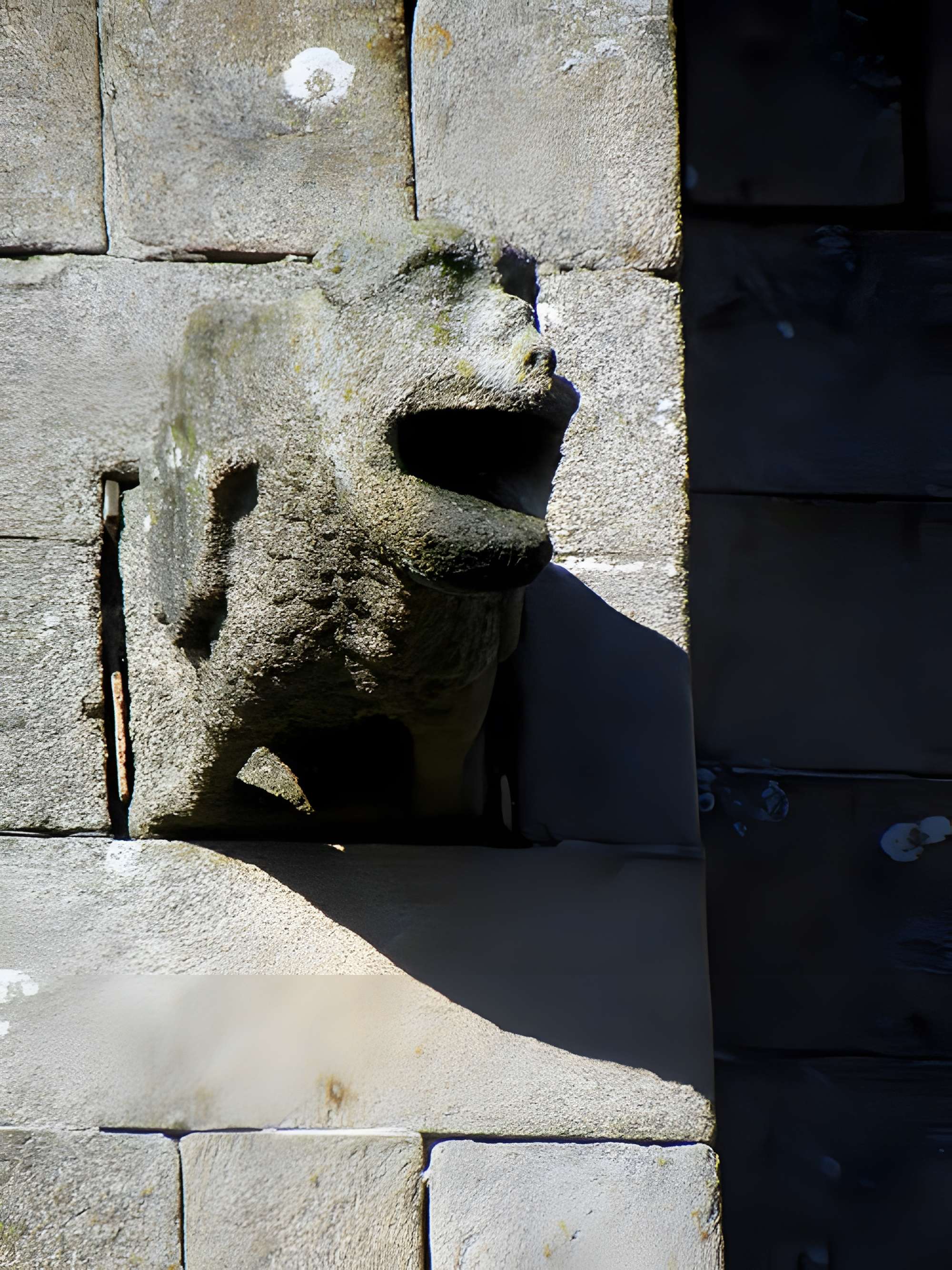 Église Saint-Léonard de Fougères