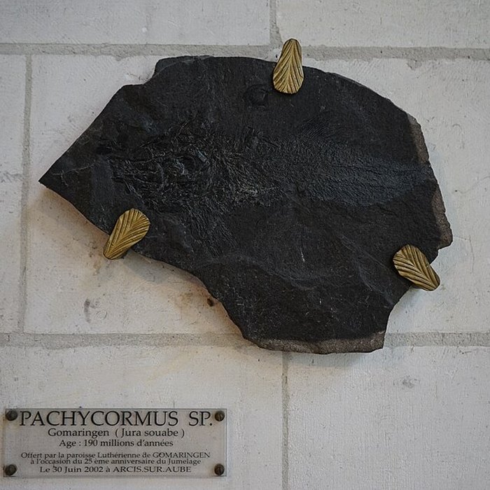 Photo de Église Saint-Étienne dArcis-sur-Aube