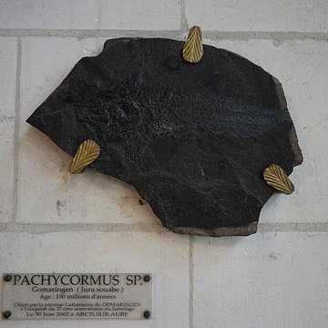 Église Saint-Étienne dArcis-sur-Aube