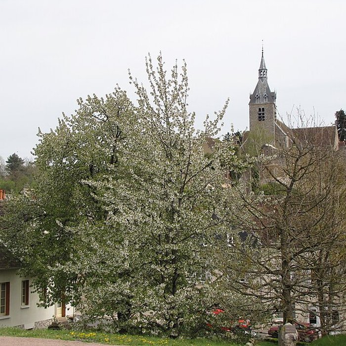 Photo de Église Saint-Étienne de Château-Renard