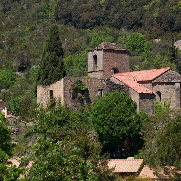 Photo de Église Saint-Étienne de Dio