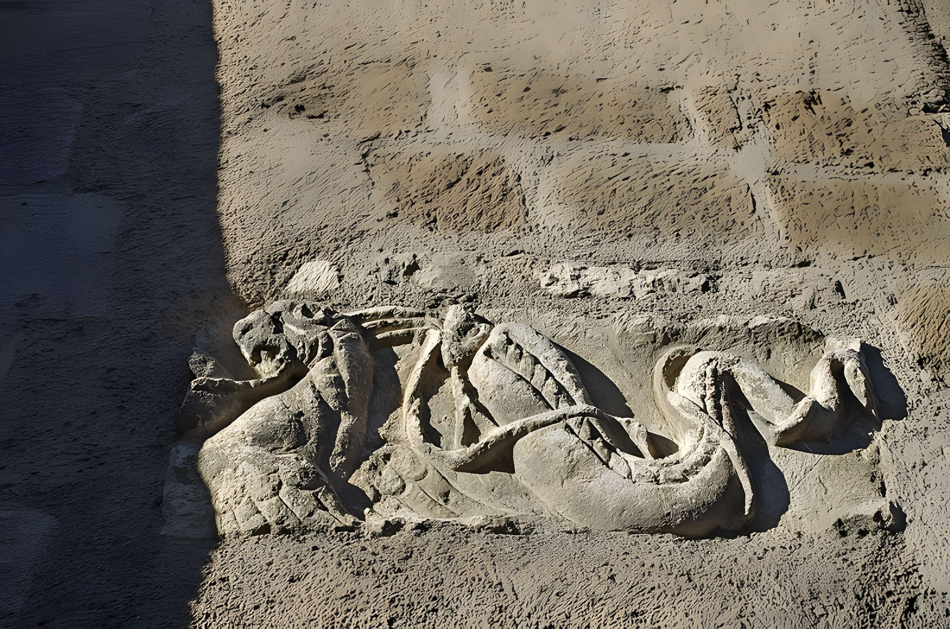 Église Saint-Étienne de Neuvy-Saint-Sépulchre