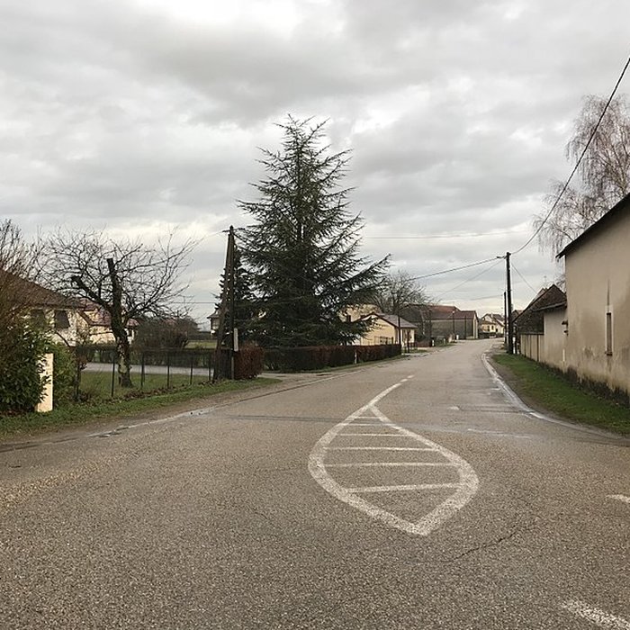 Photo de Église Saint-Germain de Parcey et croix