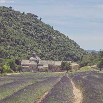 Abbaye Notre-Dame de Sénanque