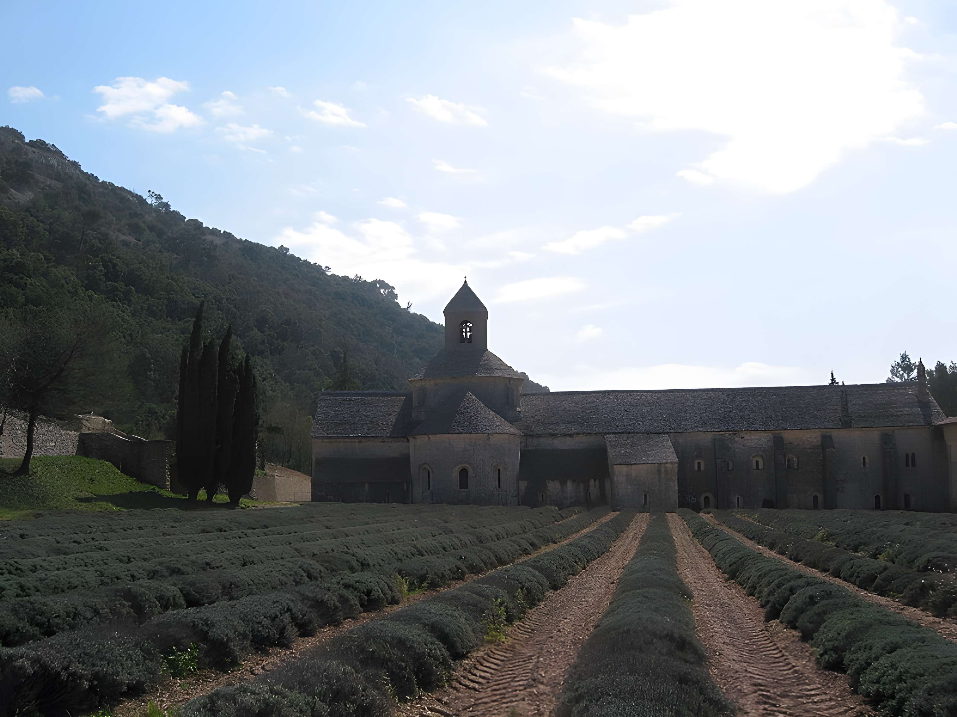 Abbaye Notre-Dame de Sénanque