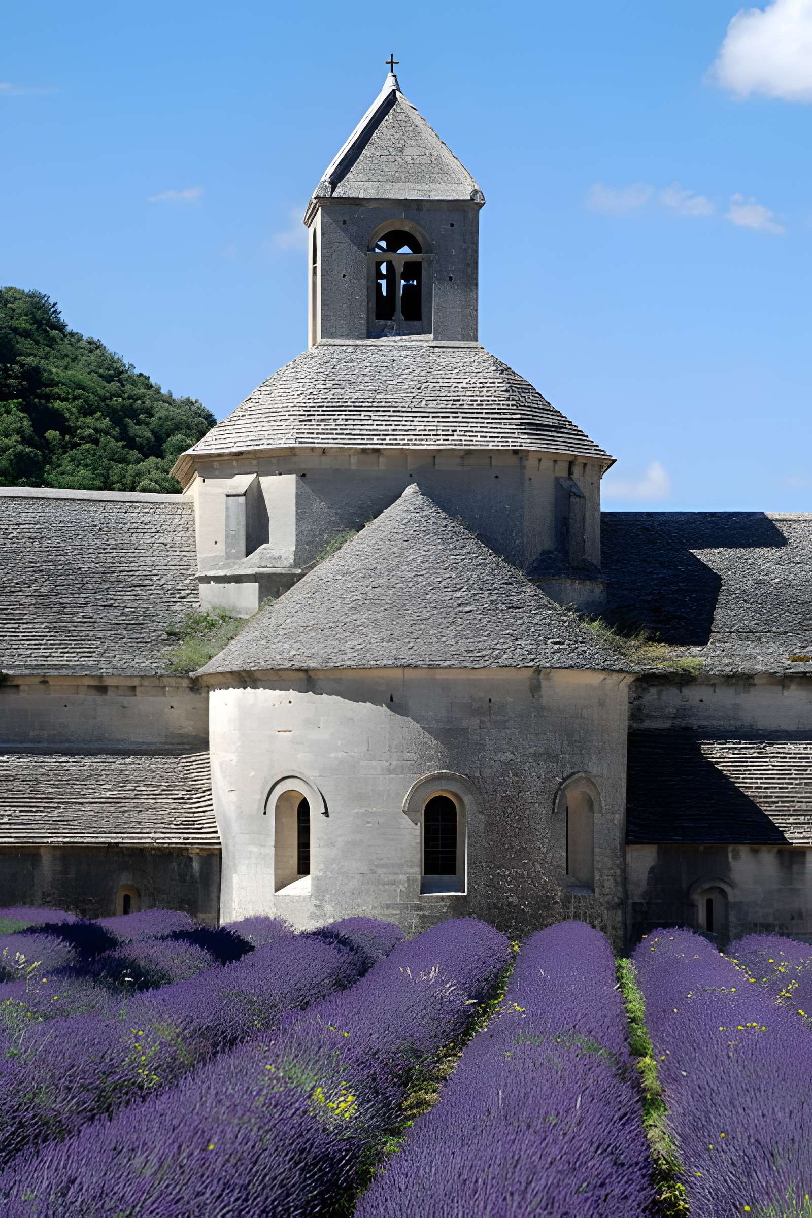 Abbaye Notre-Dame de Sénanque