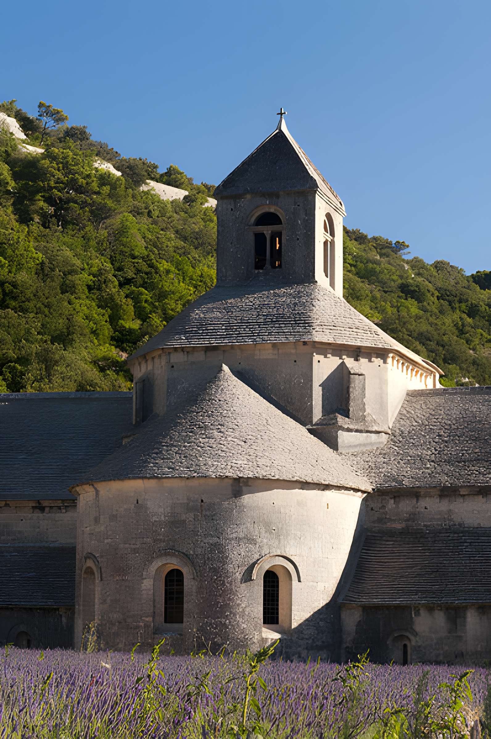 Abbaye Notre-Dame de Sénanque