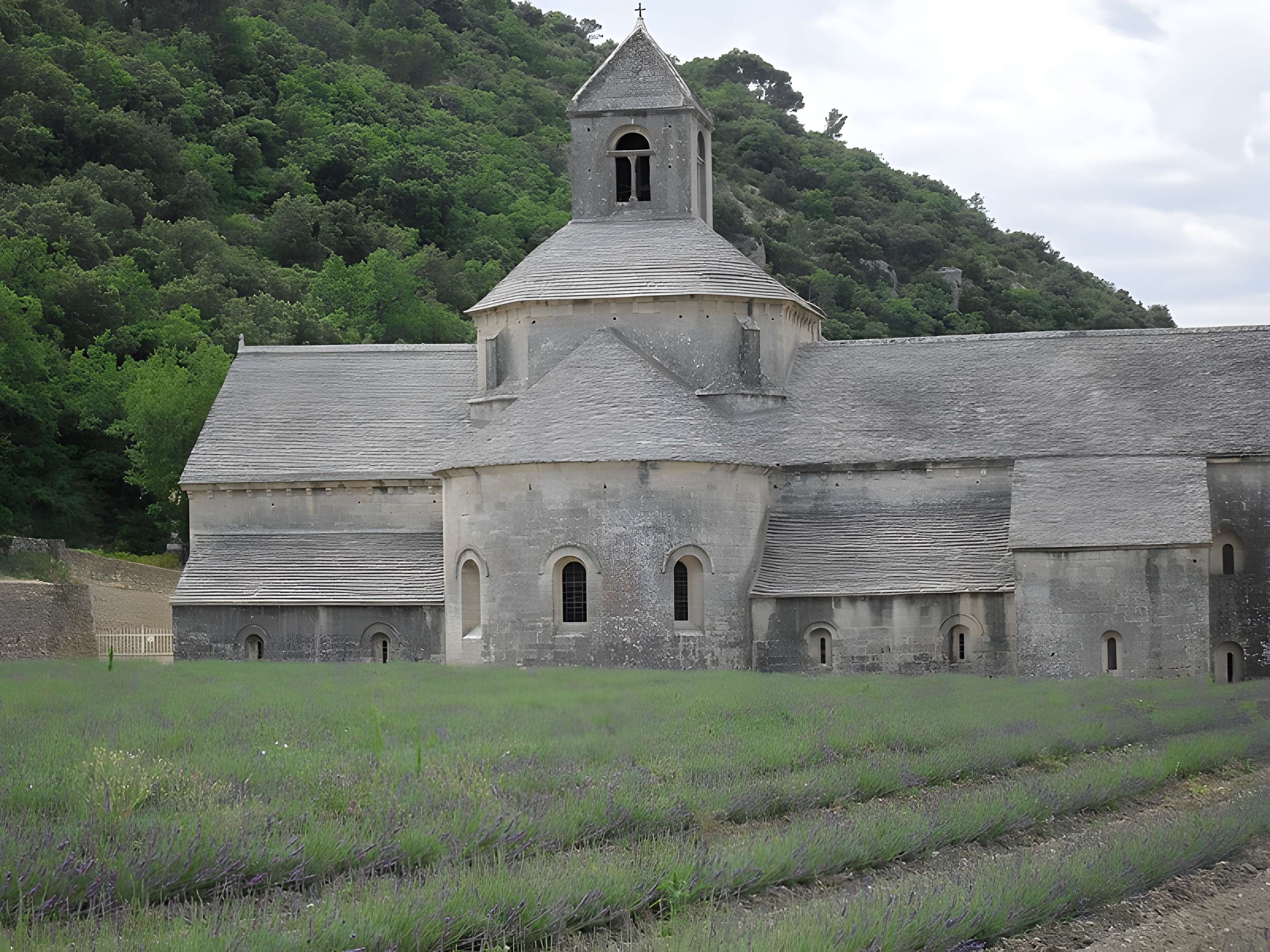 Abbaye Notre-Dame de Sénanque