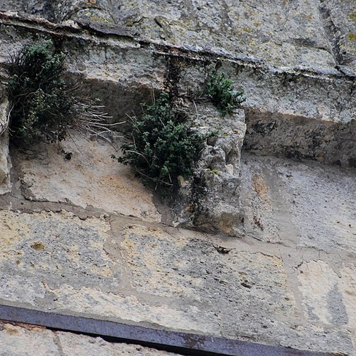 Photo de Église Saint-Gervais de Saint-Gervais dans la Gironde