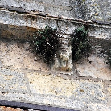 Église Saint-Gervais de Saint-Gervais dans la Gironde
