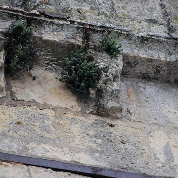 Église Saint-Gervais de Saint-Gervais dans la Gironde