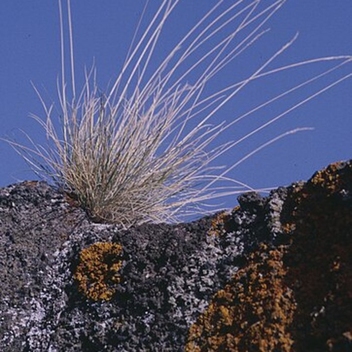 Photo de Église Saint-Michel dAiguilhe