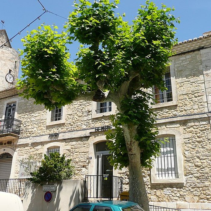 Photo de Église Saint-Grégoire de Théziers