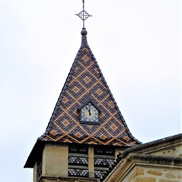 Église Saint-Irénée de Briennon