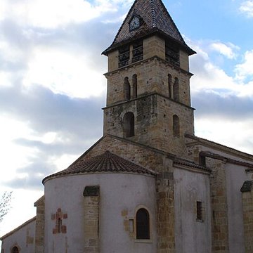 Église Saint-Irénée de Briennon