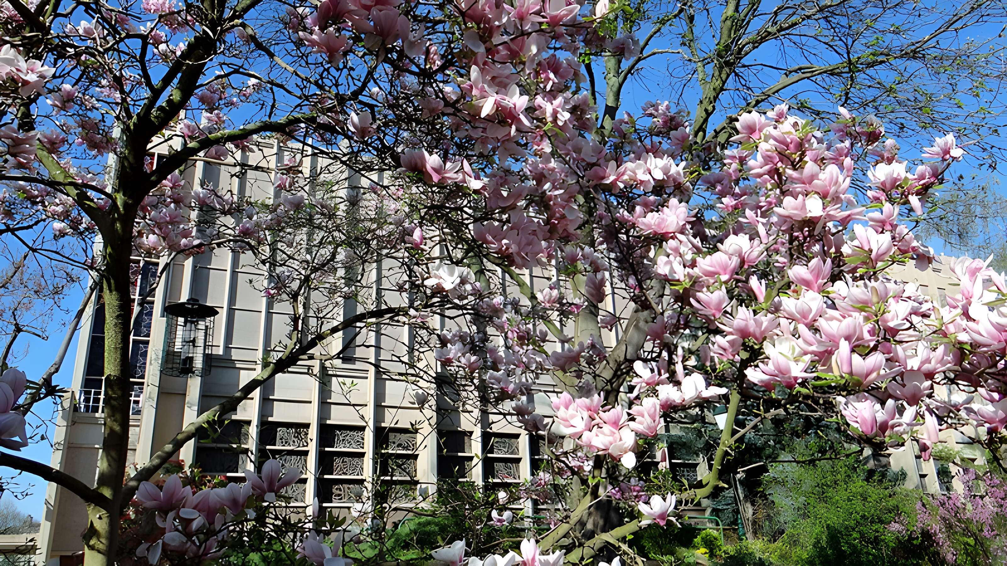 Église Saint-Jacques-le-Majeur de Montrouge