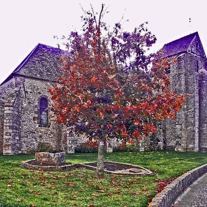 Photo de Église Saint-Jean-Baptiste de Mauchamps