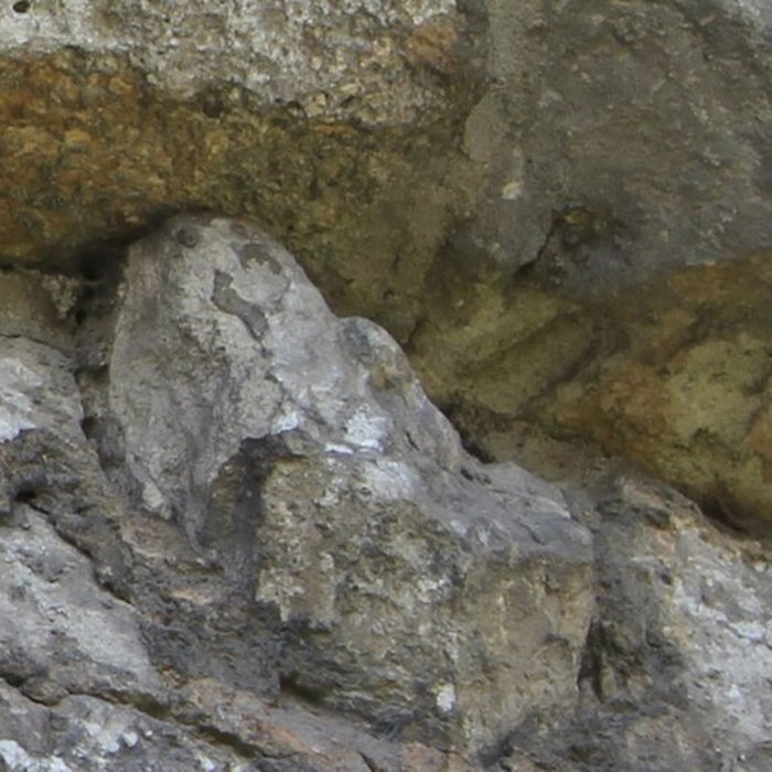 Photo de Église Saint-Ouen de Pont-Audemer
