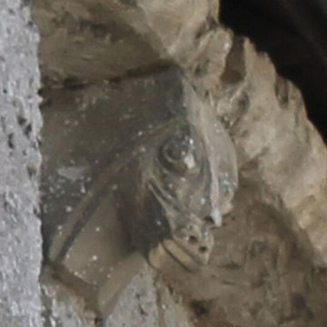 Église Saint-Ouen de Pont-Audemer