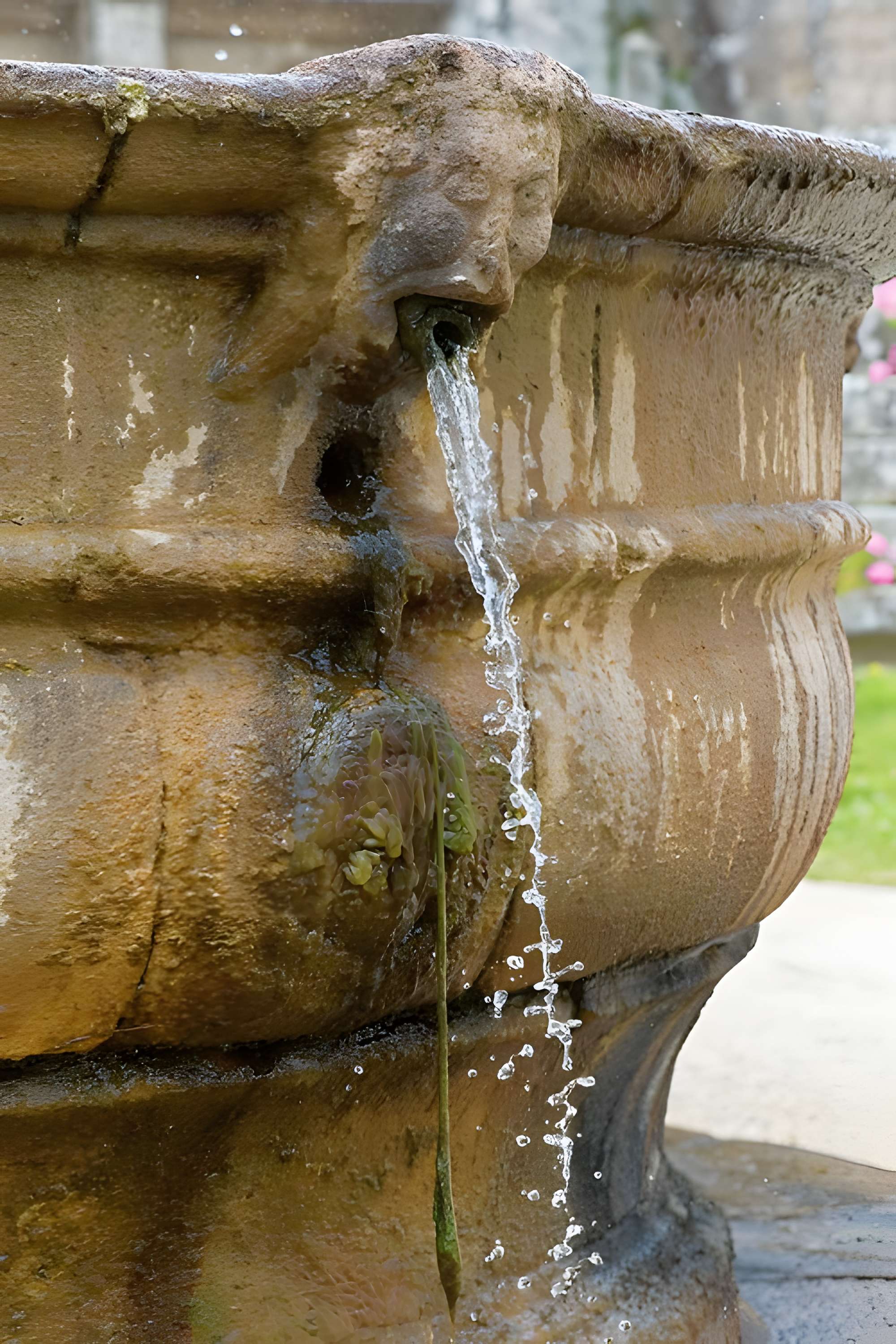 Église Saint-Jean-Baptiste de Saint-Jean-du-Doigt