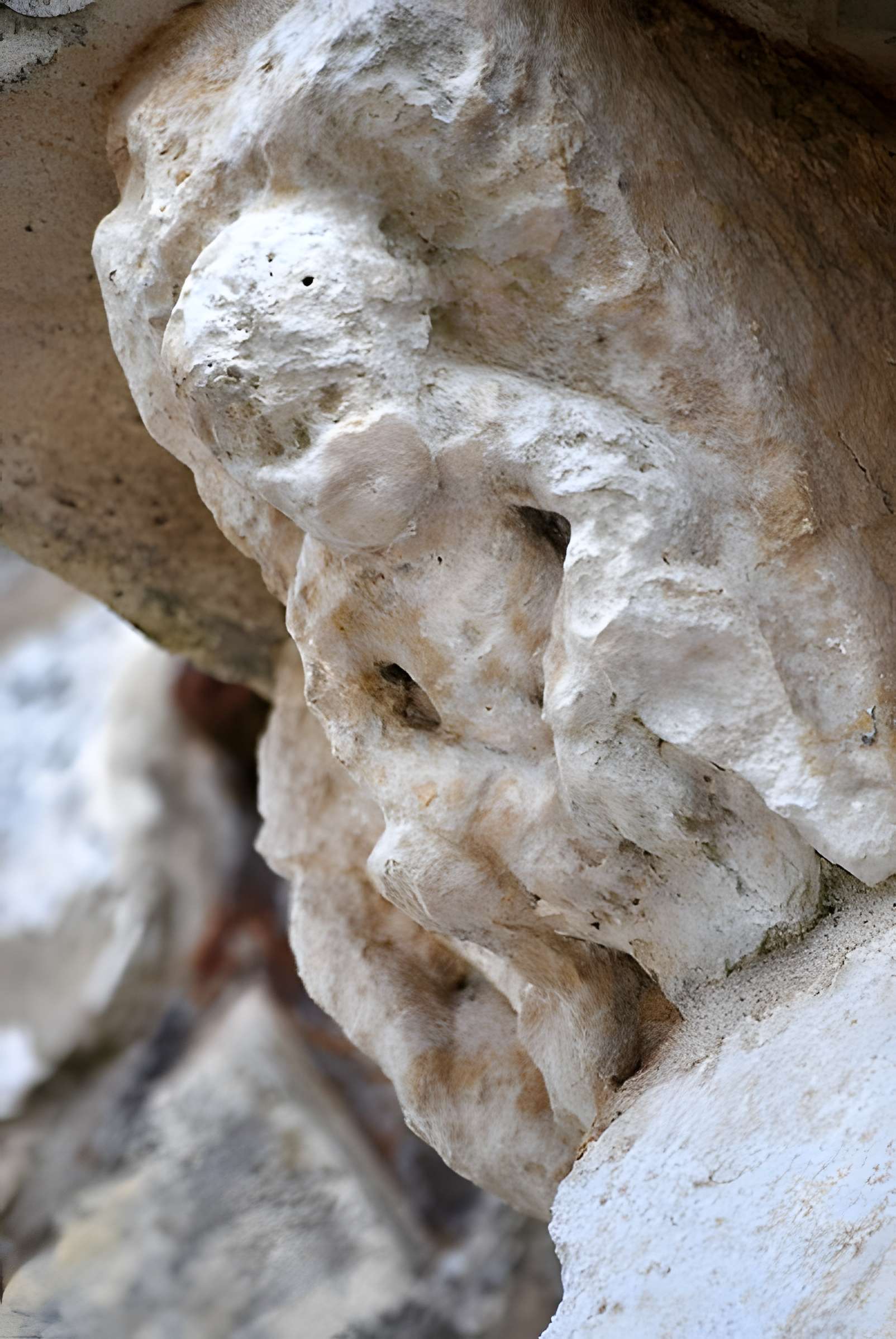 Église Saint-Jean-d'Étampes de La Brède