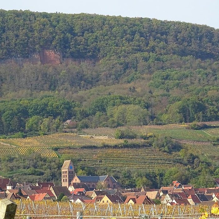 Photo de Église Saint-Pantaléon de Gueberschwihr