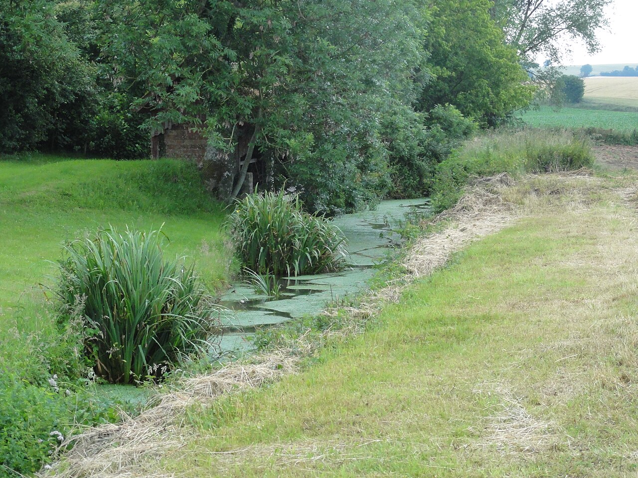 Église Saint-Julien de Montrenault