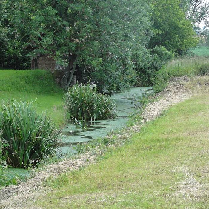 Photo de Église Saint-Julien de Montrenault
