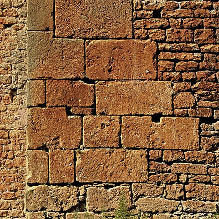 Photo de Église Saint-Léonce de Saint-Léon-sur-Vézère